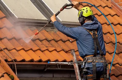 Démoussage et hydrofuge de toiture à la Harmoye